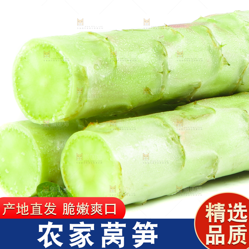 白底上放着莴笋