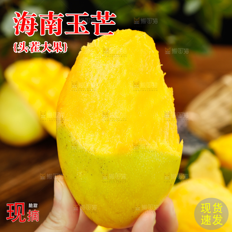 手里拿着芒果