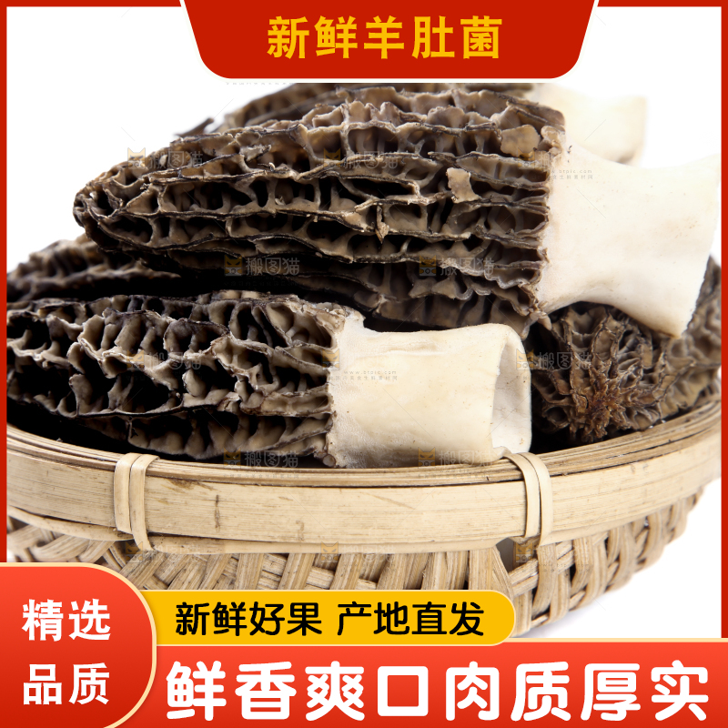 篮子里放着羊肚菇