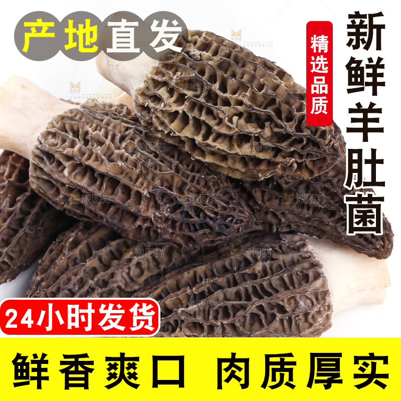 白底上摆放着羊肚菌