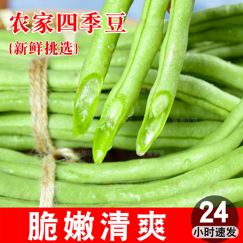 篮子里装着豆角