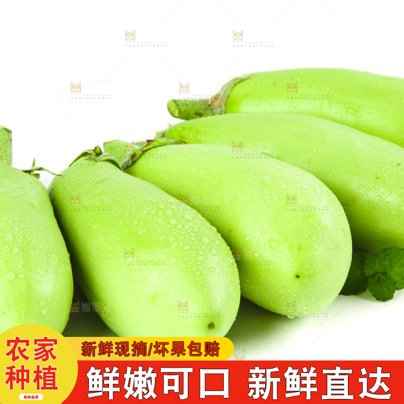 白底上放着青茄子