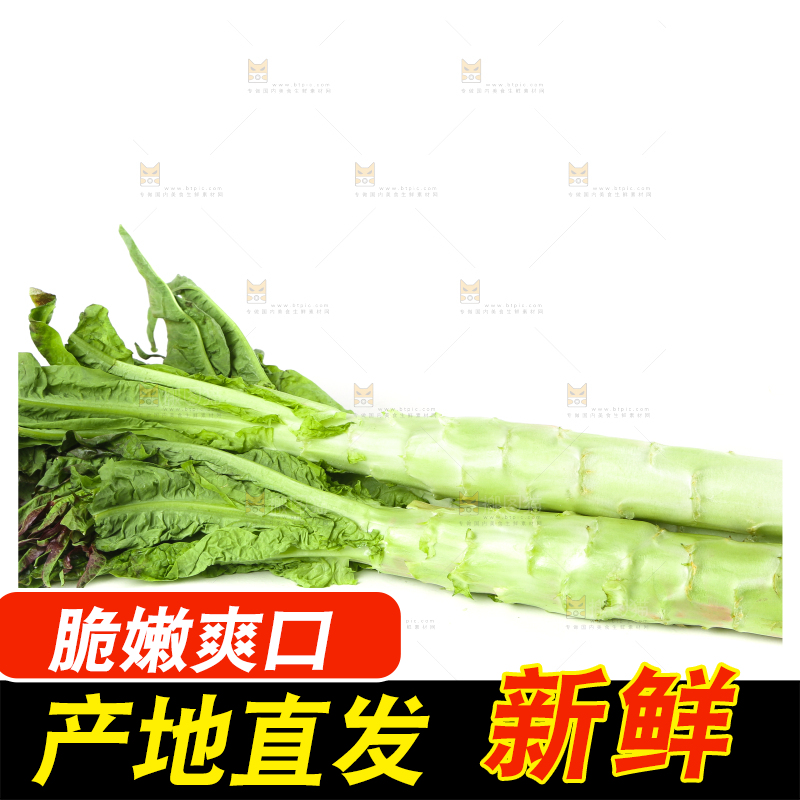白底上放着莴笋