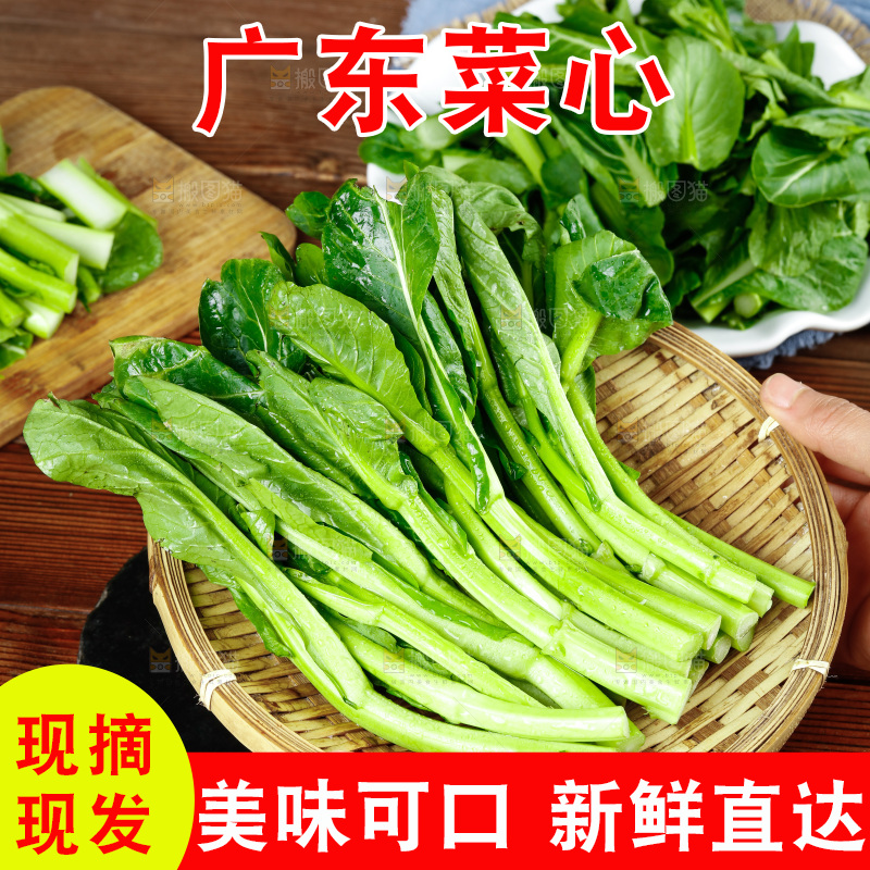 广东菜心主图