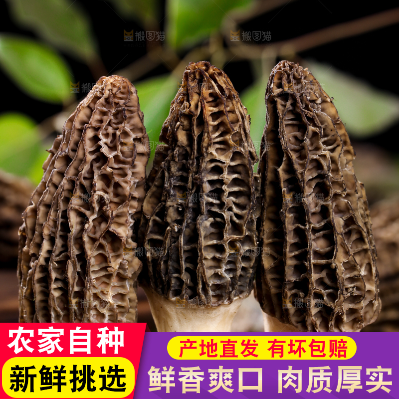 木底上放着羊肚菌