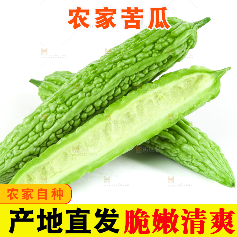 白底上摆放着凉瓜