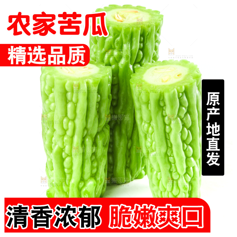 白底上摆放着凉瓜