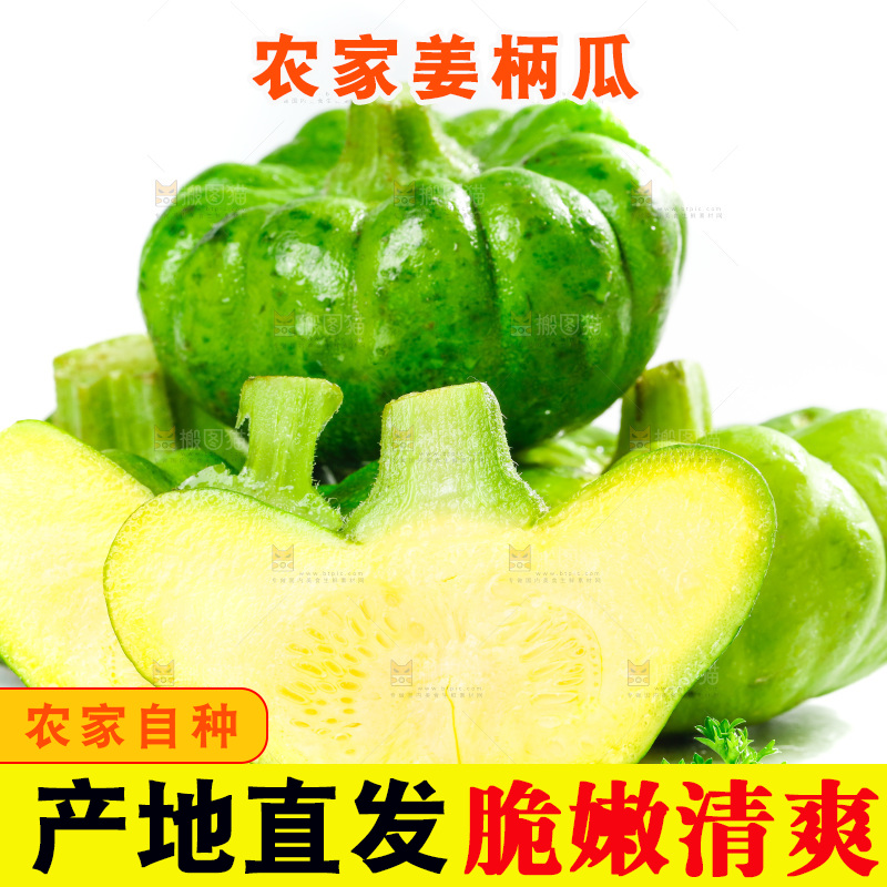 白底上摆放着姜柄瓜