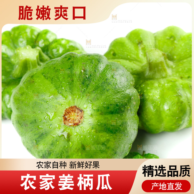 白底上放着姜柄瓜