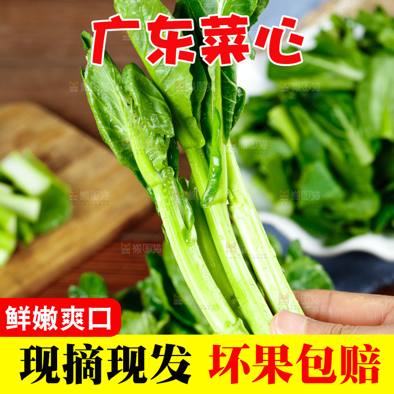 手里拿着广东菜心