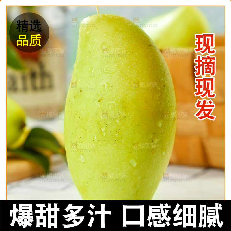格子底上摆放着芒果
