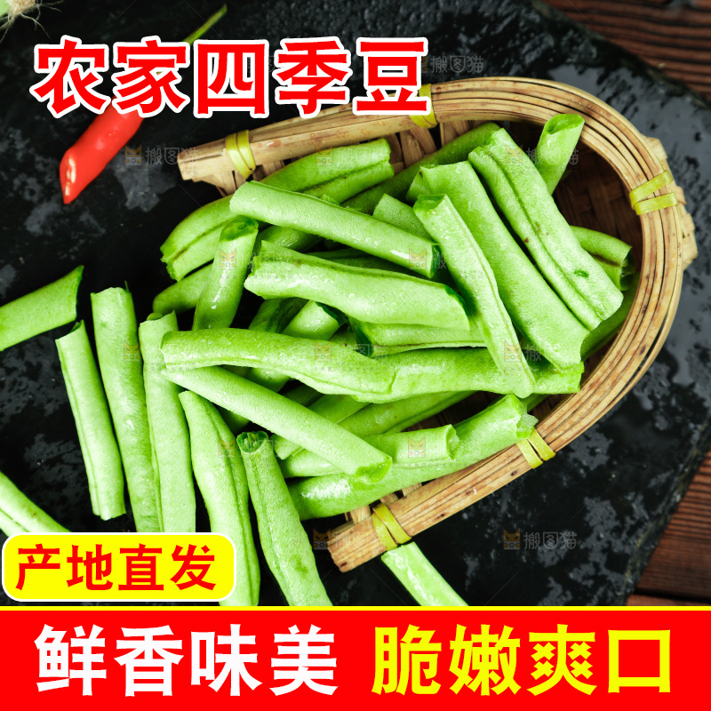 深底摆放着四季豆