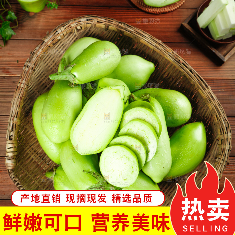 篮子里装着青茄子