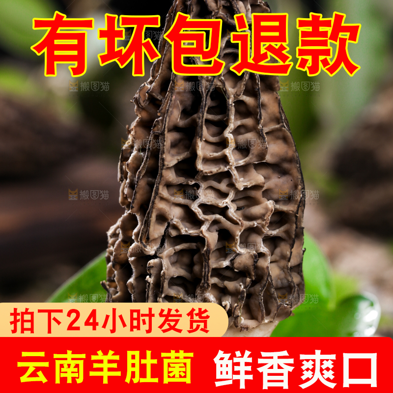木底上放着羊肚菌