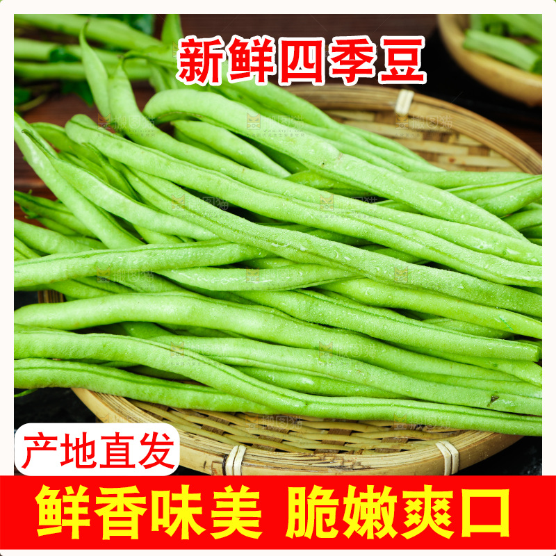 篮子里装着四季豆