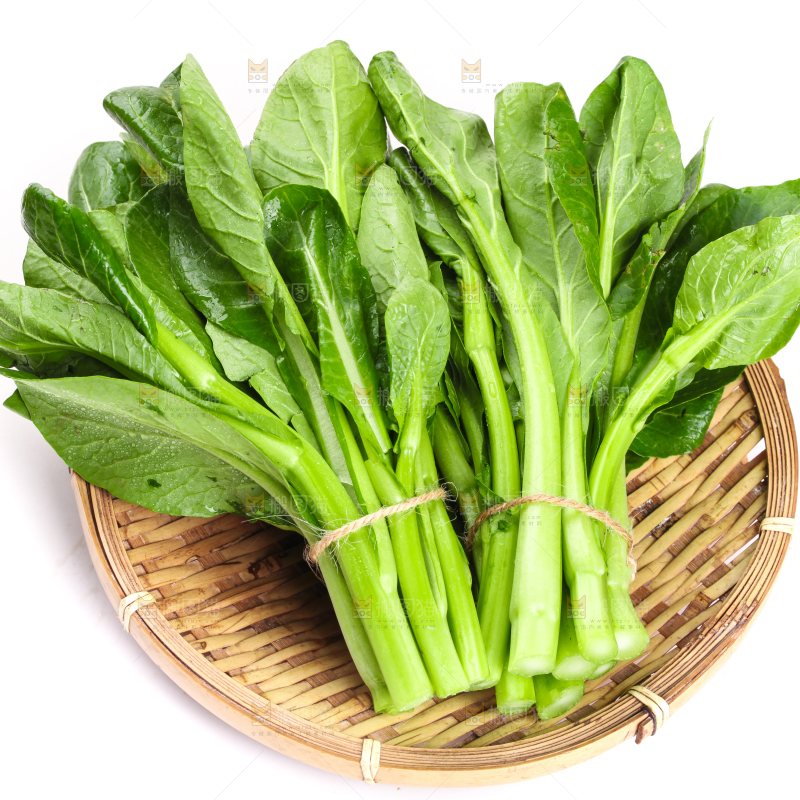 篮子里装着菜苔