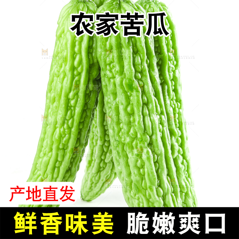 白底上摆放着凉瓜