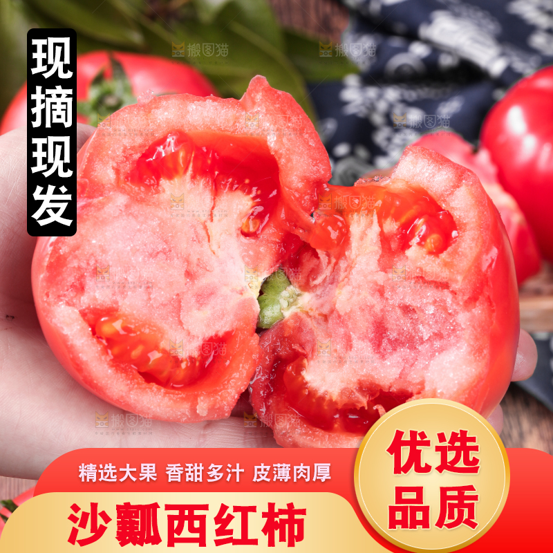 手里拿着沙瓤西红柿