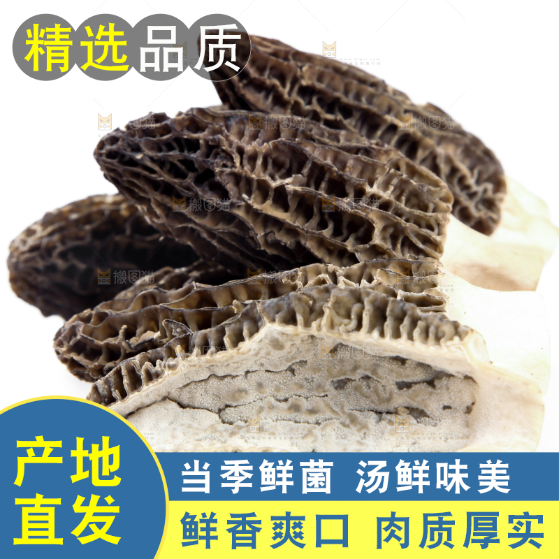 白底上放着羊肚菇