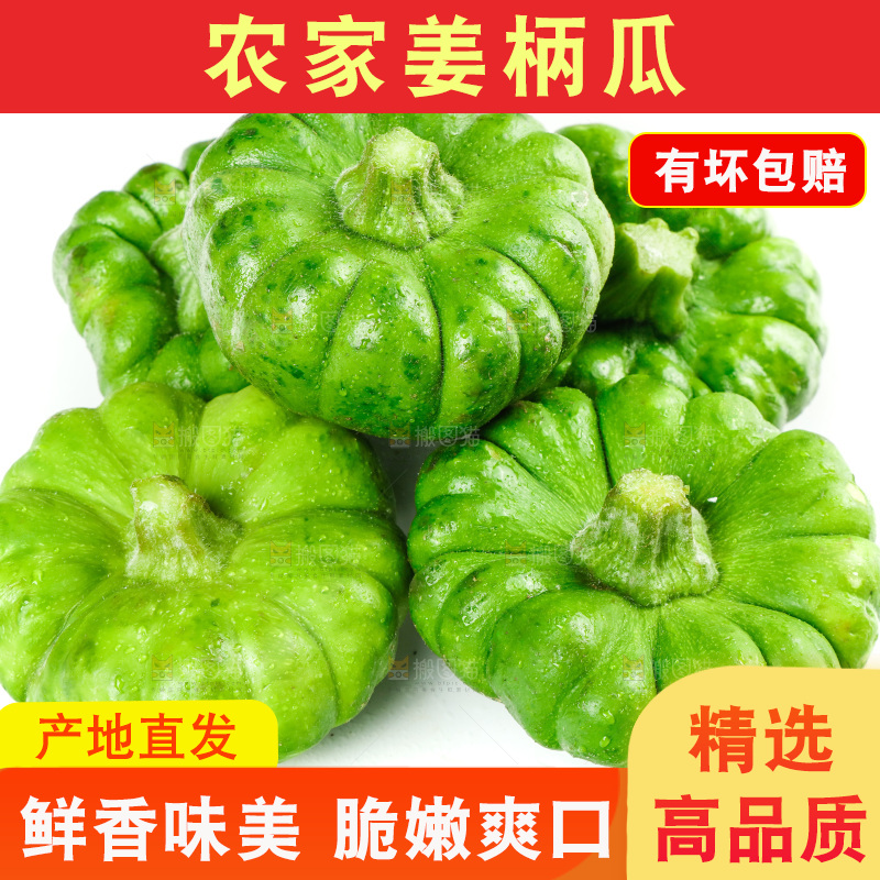 白底上放着姜柄瓜