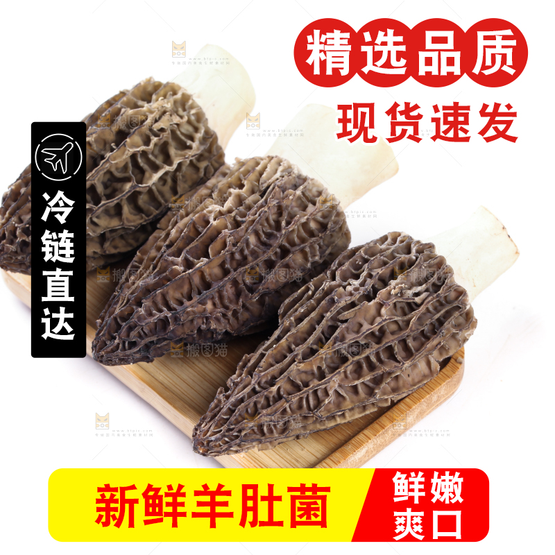 盘子装着羊肚菇
