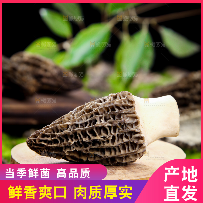木板上放着羊肚菌