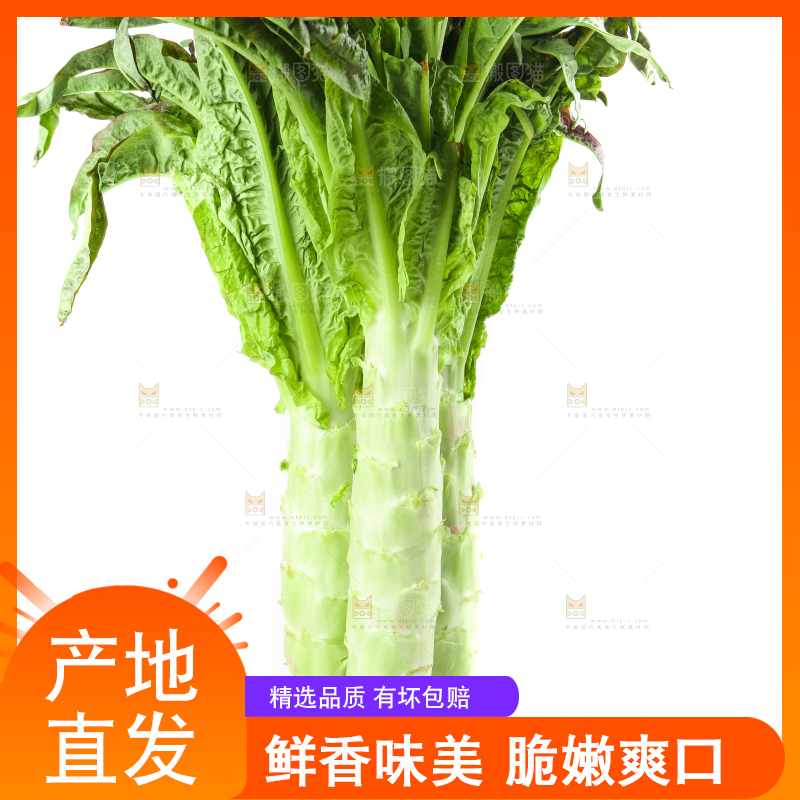 白底上放着莴笋