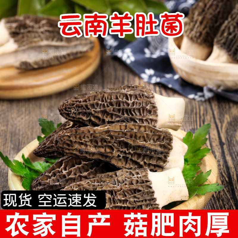盘子里装着羊肚菌
