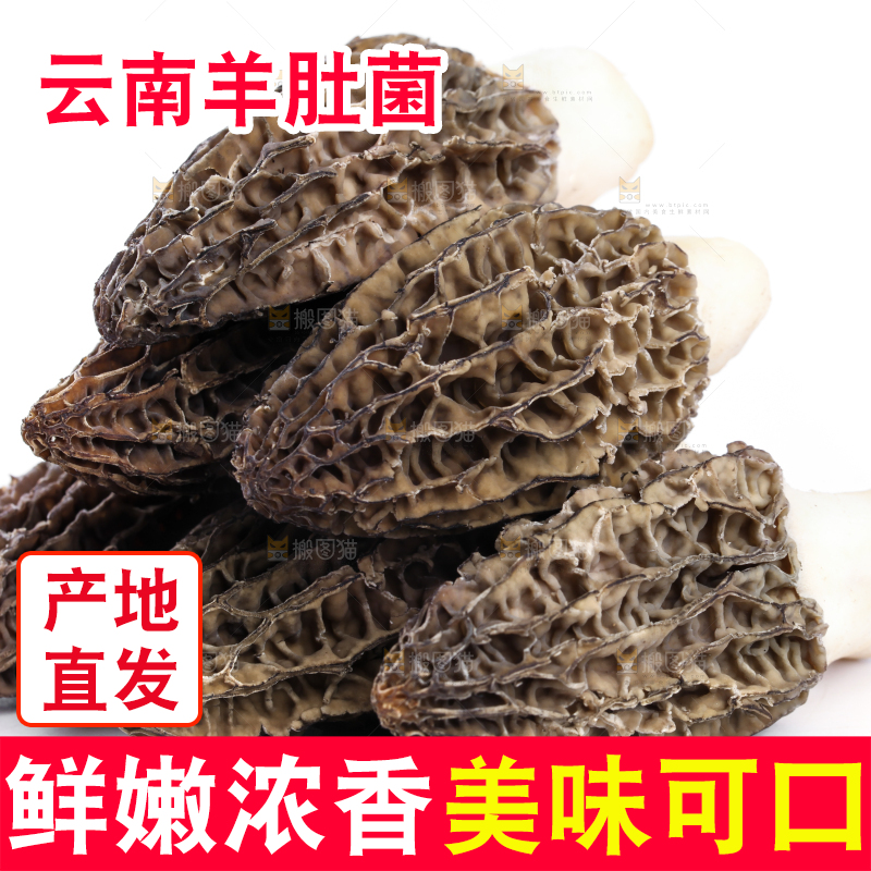白底上摆放着羊肚菌