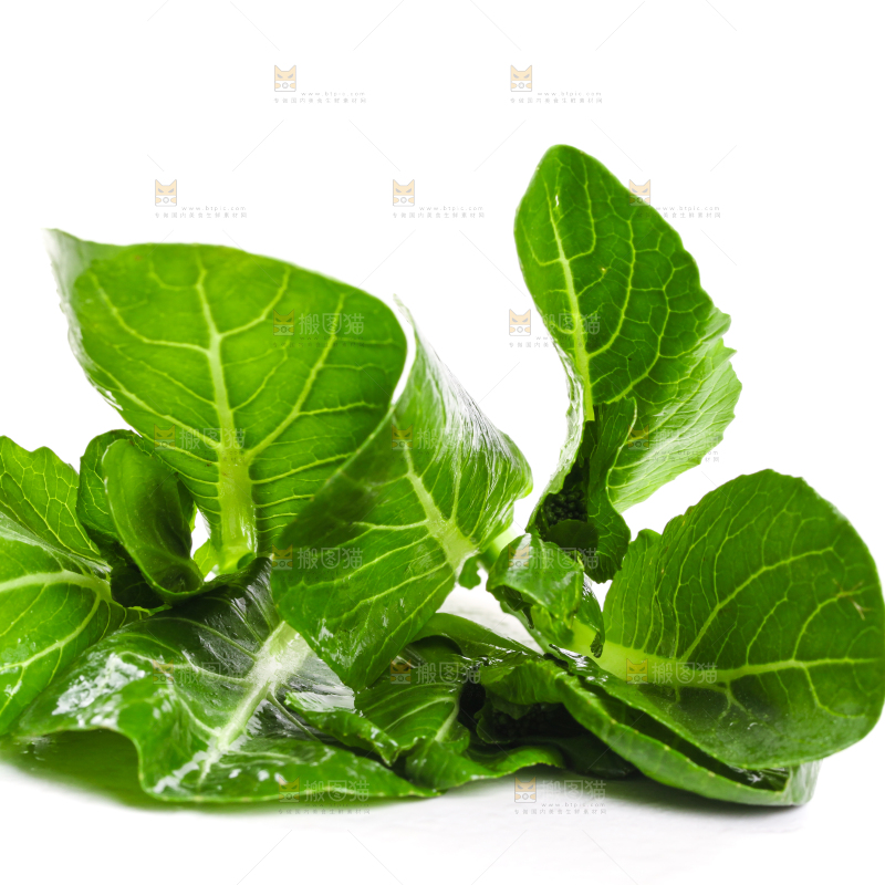 白底上放着菜苔