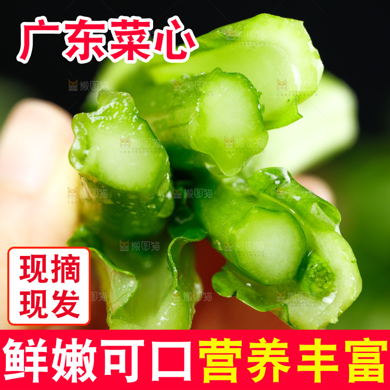 手里拿着广东菜心