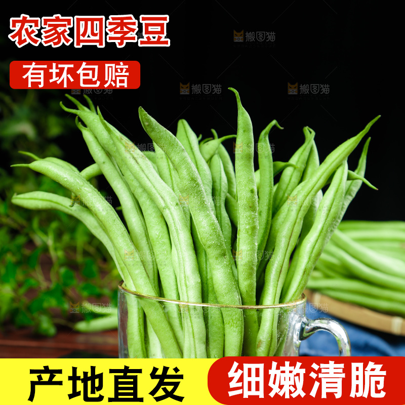 深底摆放着四季豆