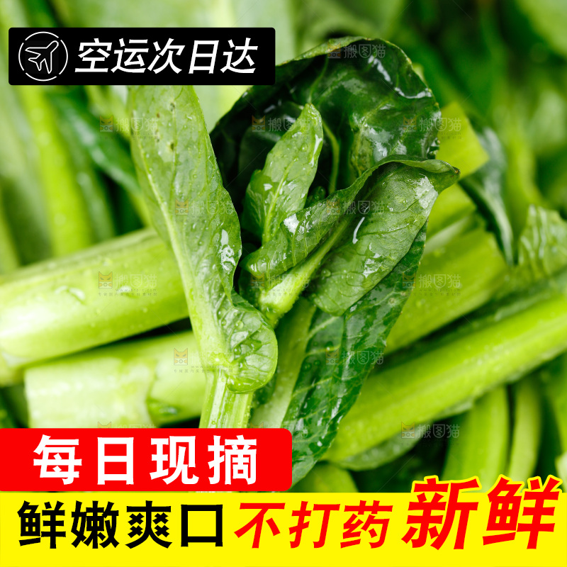 木板上放着广东菜心