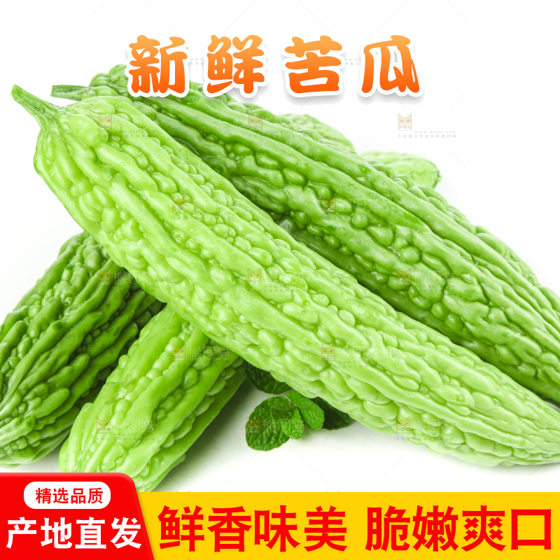 白底上摆放着凉瓜