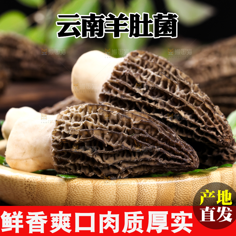 盘子里装着羊肚菌