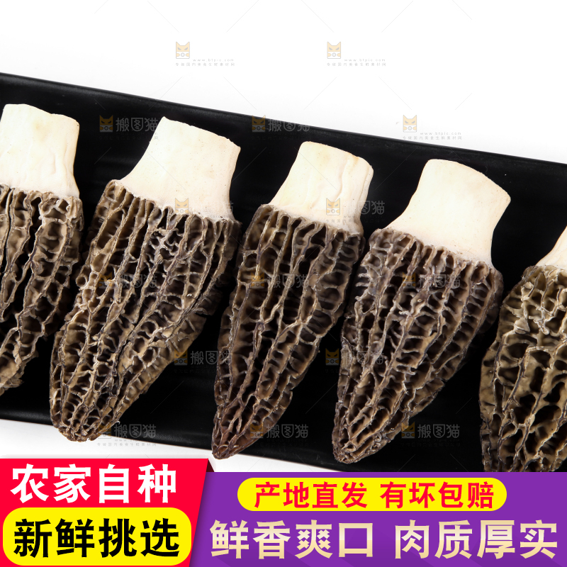 盘子里装着羊肚菌