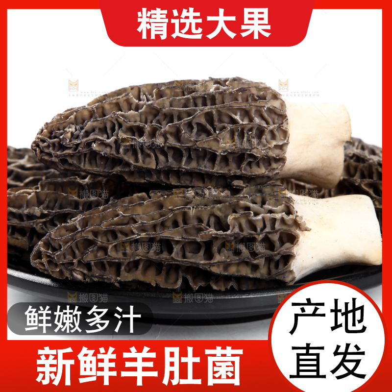 盘子里装着羊肚菌