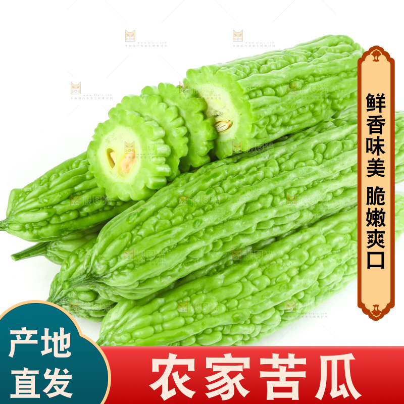 白底上摆放着凉瓜