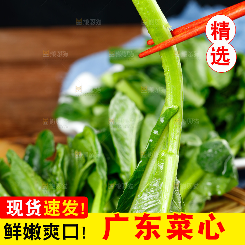 篮子里放着广东菜心