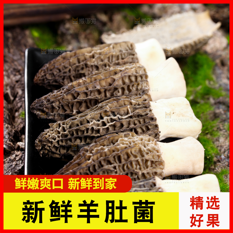 盘子里装着羊肚菌