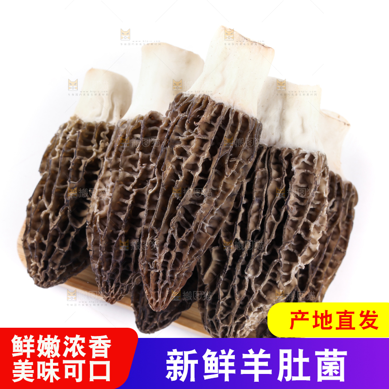 盘子装着羊肚菇