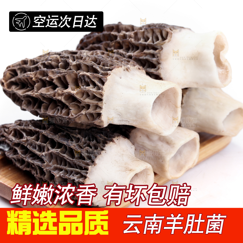 盘子装着羊肚菇