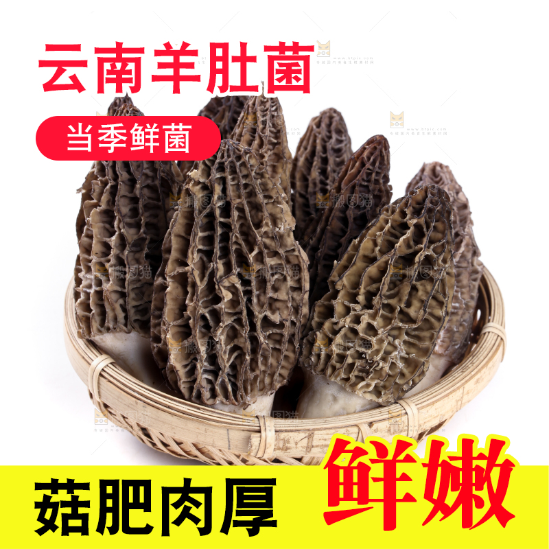 篮子里放着羊肚菇