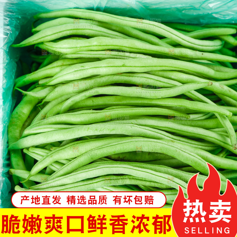 袋子里装着四季豆