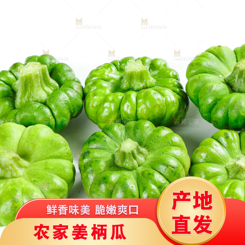 白底上放着姜柄瓜
