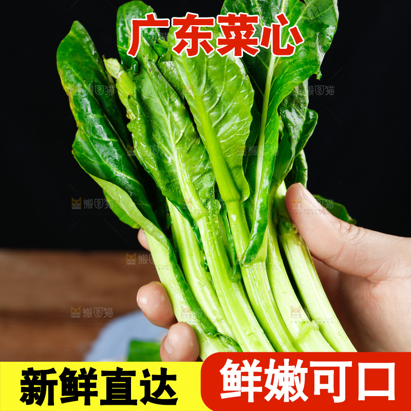 手里拿着广东菜心