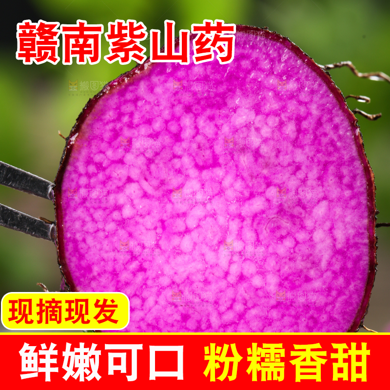 叉子叉着紫人参