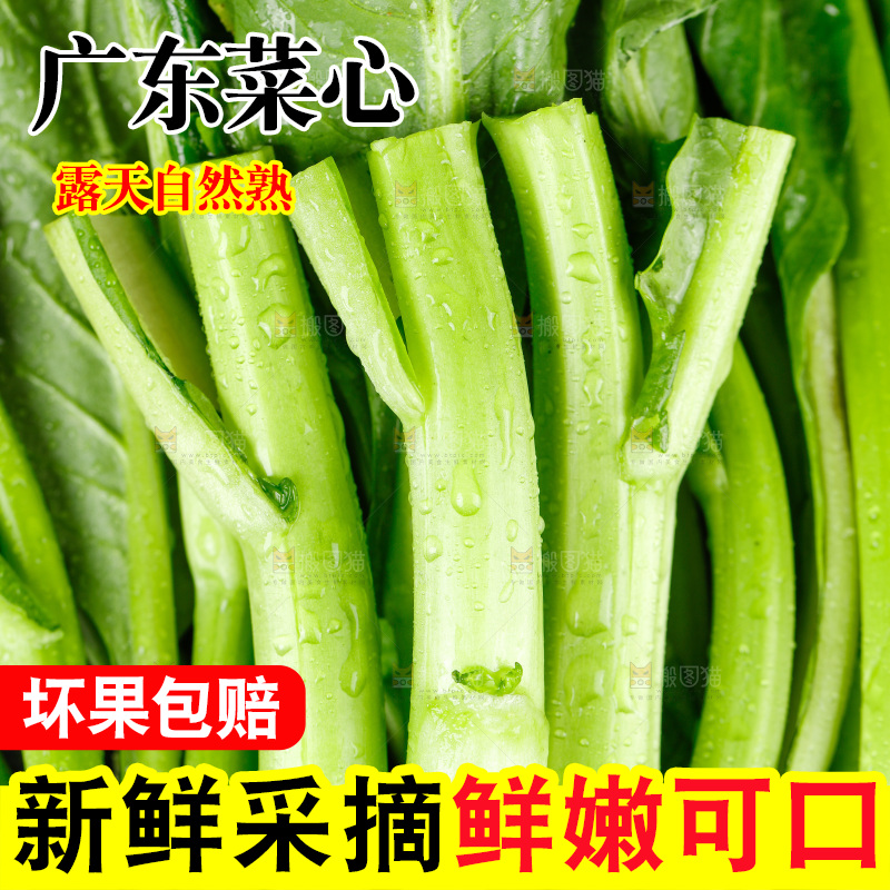 木板上放着广东菜心