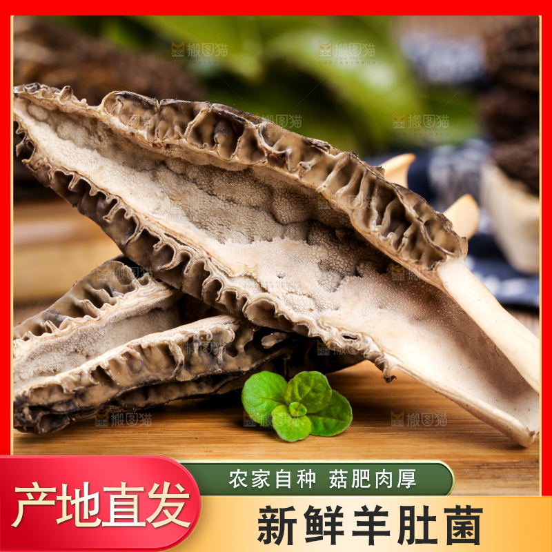 盘子里装着羊肚菌