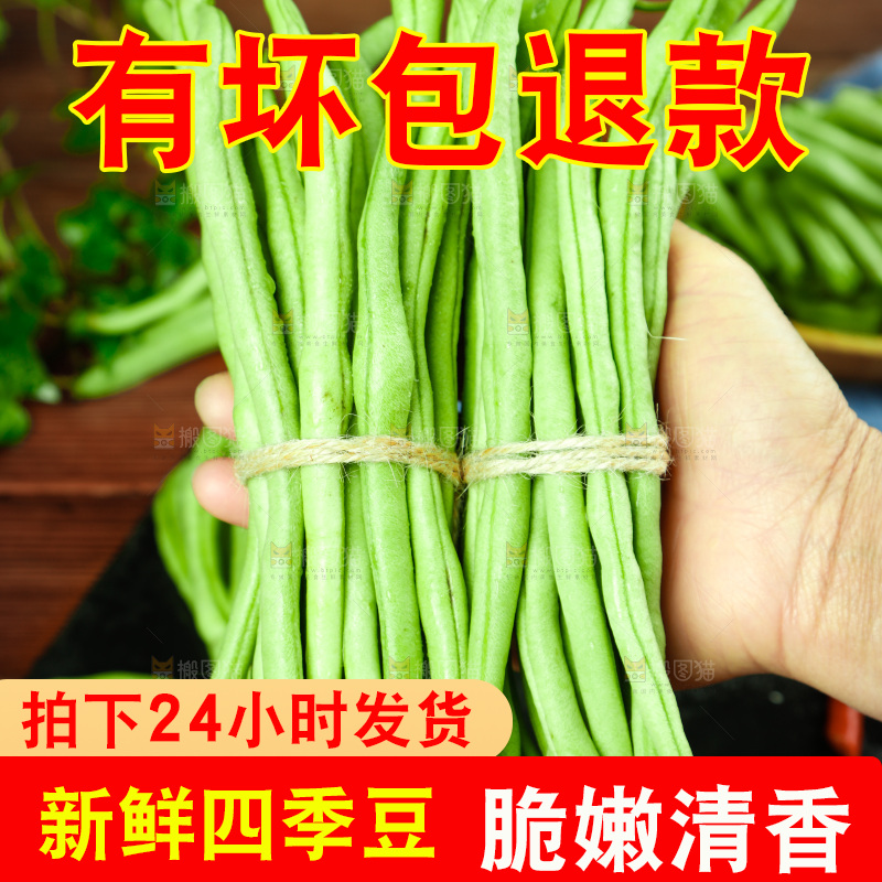 手里拿着四季豆